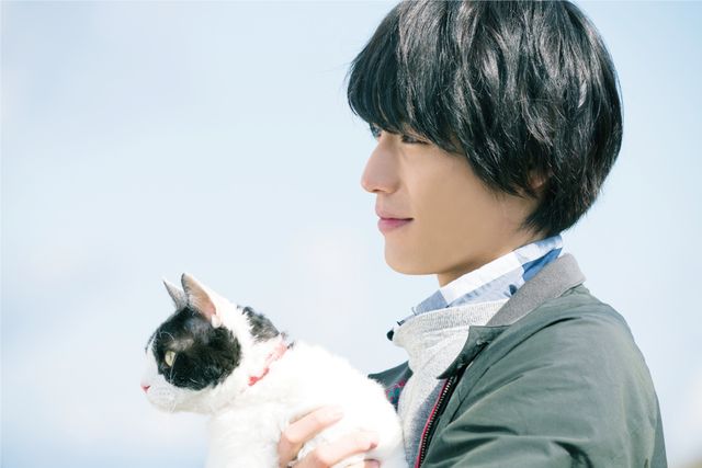 福士蒼汰のあったかい表情『旅猫リポート』場面写真（2枚目）