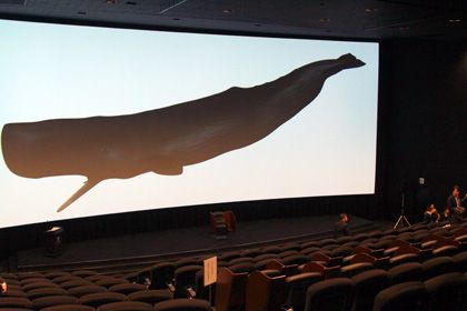 実物大のマッコウクジラが入る巨大スクリーン「TCX」も都内初導入！ - TOHOシネマズ日本橋