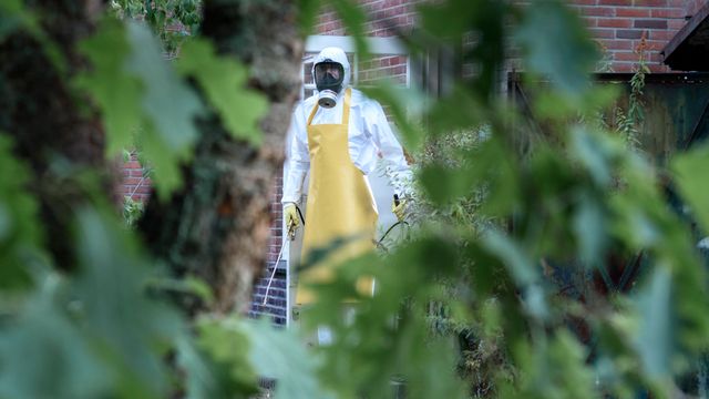 あおったら地獄の始まり…『ロード・インフェルノ』（6枚目）