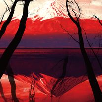 赤く染まった富士山…映画『樹海村』海外版ビジュアル第1弾