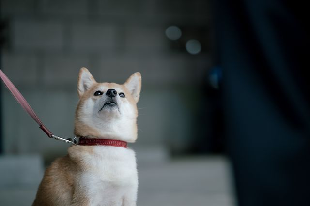 杉咲花＆倉悠貴のカラオケシーンも！「冬のなんかさ、春のなんかね」第3話場面写真（21枚目）