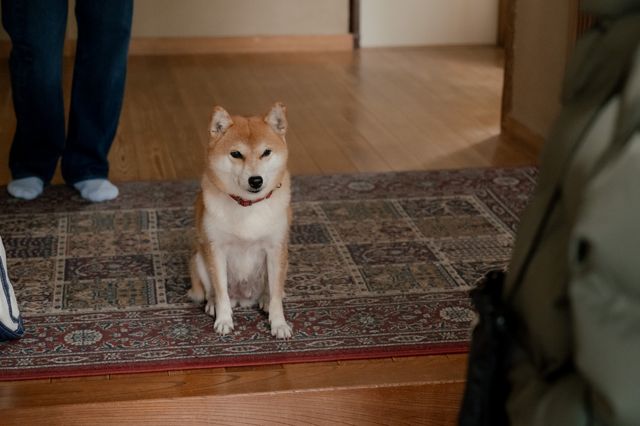 杉咲花＆倉悠貴のカラオケシーンも！「冬のなんかさ、春のなんかね」第3話場面写真（22枚目）