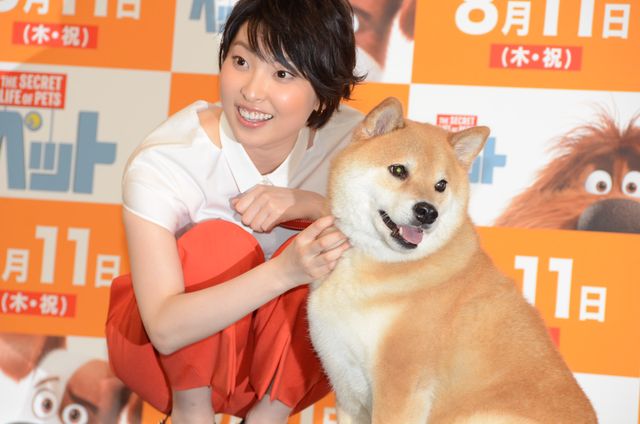 お利口さんな柴犬まる『ペット』イベントギャラリー（20枚目）