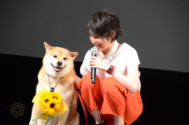 お利口さんな柴犬まる『ペット』イベントギャラリー