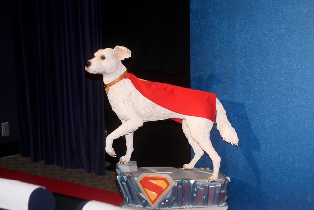 チョコプラ、TT兄弟から“SS兄弟”に！映画『スーパーマン』公開記念イベント（7枚目）