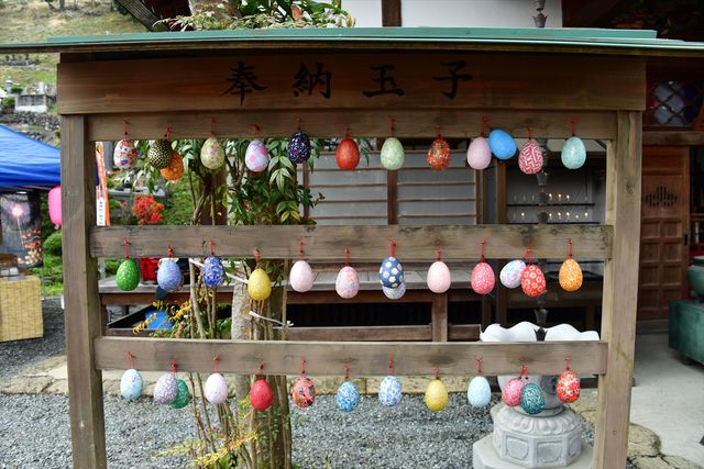 実写版「ここさけ」撮影現場に潜入！（2枚目）