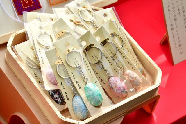 実写版「ここさけ」撮影現場に潜入！（6枚目）