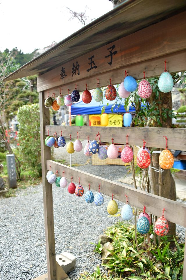 実写版「ここさけ」撮影現場に潜入！（7枚目）