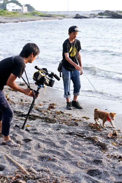 かわいいわんこに癒される……『幼獣マメシバ 望郷篇』撮影現場フォトギャラリー（9枚目）
