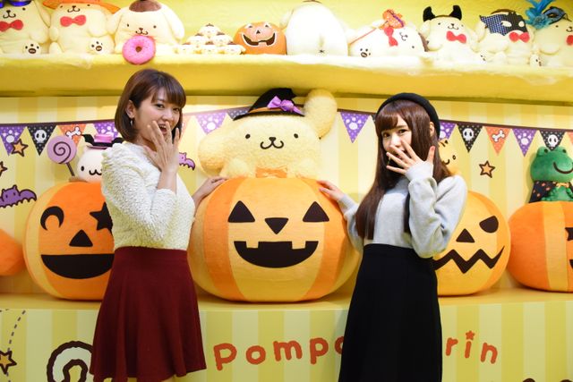 ふわもこでかわいい！「ポムポムトレイン」フォトギャラリー（8枚目）