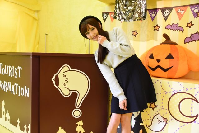 ふわもこでかわいい！「ポムポムトレイン」フォトギャラリー（20枚目）