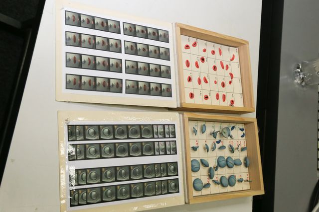 『ぼくの名前はズッキーニ』監督による特別授業の様子（14枚目）