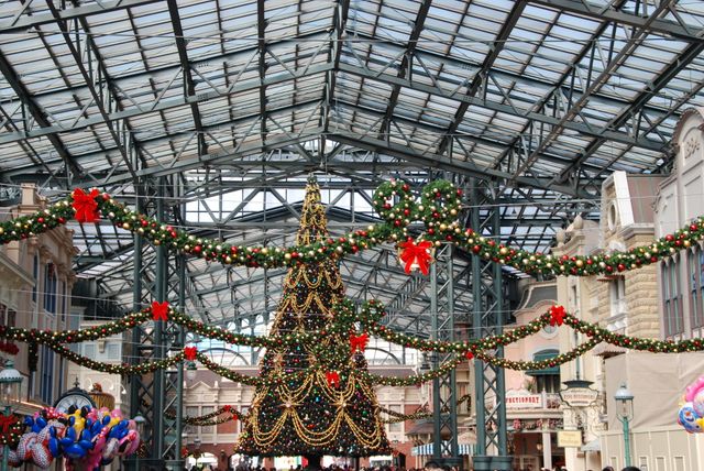 クリスマス一色の東京ディズニーリゾート！フォトギャラリー：フォトギャラリー