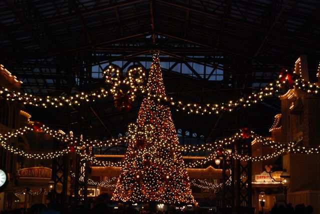 クリスマス一色の東京ディズニーリゾート！フォトギャラリー（11枚目）