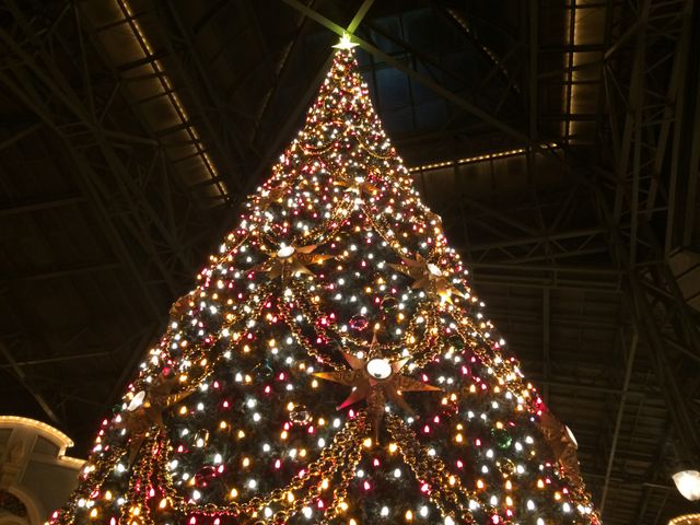 クリスマス一色の東京ディズニーリゾート！フォトギャラリー（13枚目）