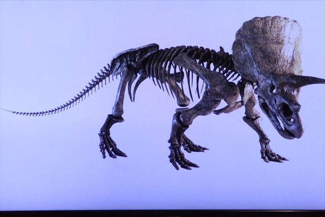 チュートリアル徳井画伯の作品集フォトギャラリー（10枚目）