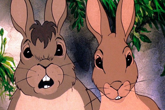 カルト的名作『ウォーターシップ・ダウンのうさぎたち HDリマスター版』場面写真（2枚目）