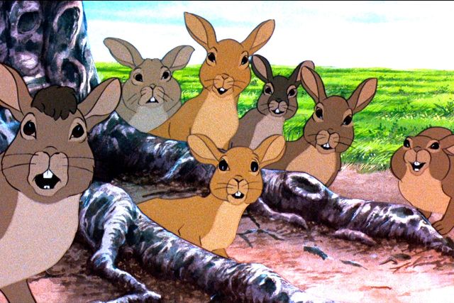 カルト的名作『ウォーターシップ・ダウンのうさぎたち HDリマスター版』場面写真（3枚目）