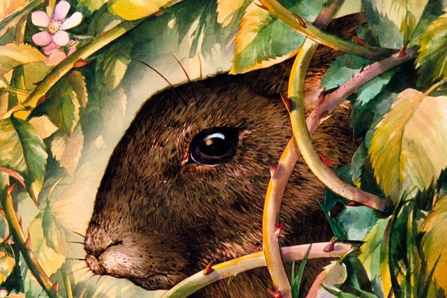 カルト的名作『ウォーターシップ・ダウンのうさぎたち HDリマスター版』場面写真（4枚目）