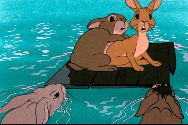 カルト的名作『ウォーターシップ・ダウンのうさぎたち HDリマスター版』場面写真（5枚目）