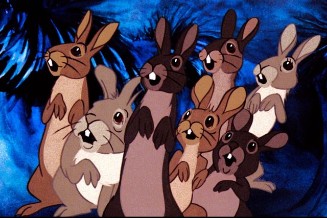 カルト的名作『ウォーターシップ・ダウンのうさぎたち HDリマスター版』場面写真（7枚目）