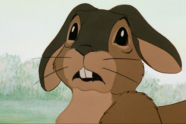 カルト的名作『ウォーターシップ・ダウンのうさぎたち HDリマスター版』場面写真（8枚目）