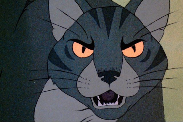 カルト的名作『ウォーターシップ・ダウンのうさぎたち HDリマスター版』場面写真（9枚目）