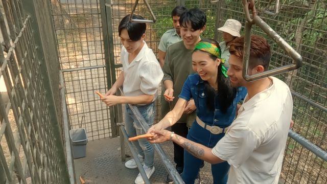 ホワイトローズ発動！「バチェロレッテ3」EP2より【場面写真10点】（5枚目）