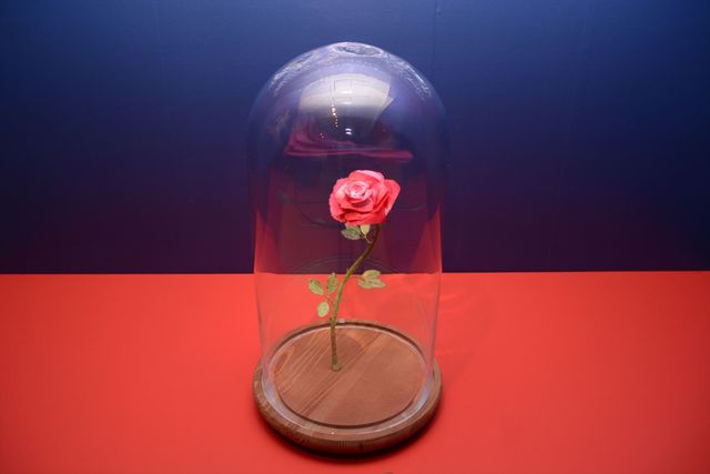 松井玲奈、星の王子さまが大好き！「リトルプリンス　星の王子さまと私　展」フォトギャラリー（9枚目）