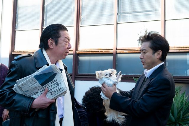 激カワ！ドラマで大人気のチワワ（4枚目）