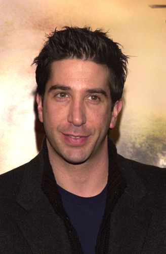 『コラテラル・ダメージ』（全米初登場1位！）プレミア
（13枚目）