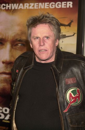 『コラテラル・ダメージ』（全米初登場1位！）プレミア
（14枚目）