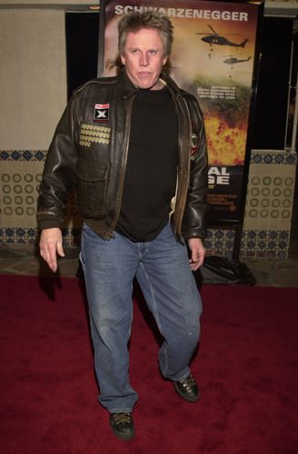 『コラテラル・ダメージ』（全米初登場1位！）プレミア
（15枚目）