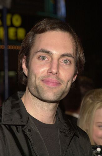 『コラテラル・ダメージ』（全米初登場1位！）プレミア
（16枚目）