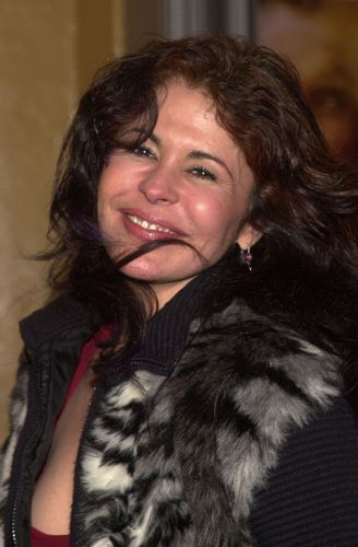 『コラテラル・ダメージ』（全米初登場1位！）プレミア
（25枚目）