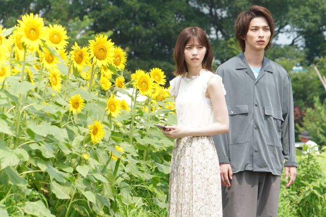 横浜流星＆西野七瀬、ひまわり畑でほほ笑む！ドラマ「あなたの番です-反撃編-」16話場面カット：フォトギャラリー