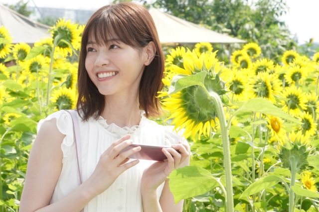 横浜流星＆西野七瀬、ひまわり畑でほほ笑む！ドラマ「あなたの番です-反撃編-」16話場面カット（7枚目）