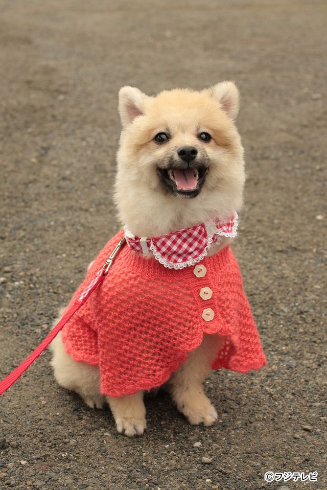 ドラマ「山田くんと7人の魔女」第3話フォトギャラリー（2枚目）