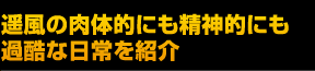 遥風の肉体的にも精神的にも過酷な日常を紹介