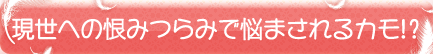 現世への恨みつらみで悩まされるカモ!?