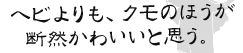 ヘビよりも、クモの方が断然かわいいと思う。