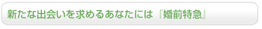 新たな出会いを求めるあなたには『婚前特急』