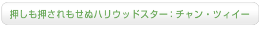 押しも押されもせぬハリウッドスター：チャン・ツィイー
