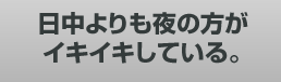 日中よりも夜の方がイキイキしている。