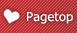 Pagetop