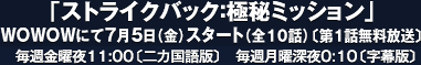 「ストライクバック：極秘ミッション」