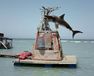 PLANET OF THE SHARKS 鮫の惑星